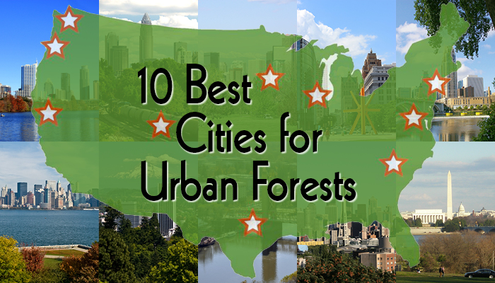 10 best Cities for the Urban Forests