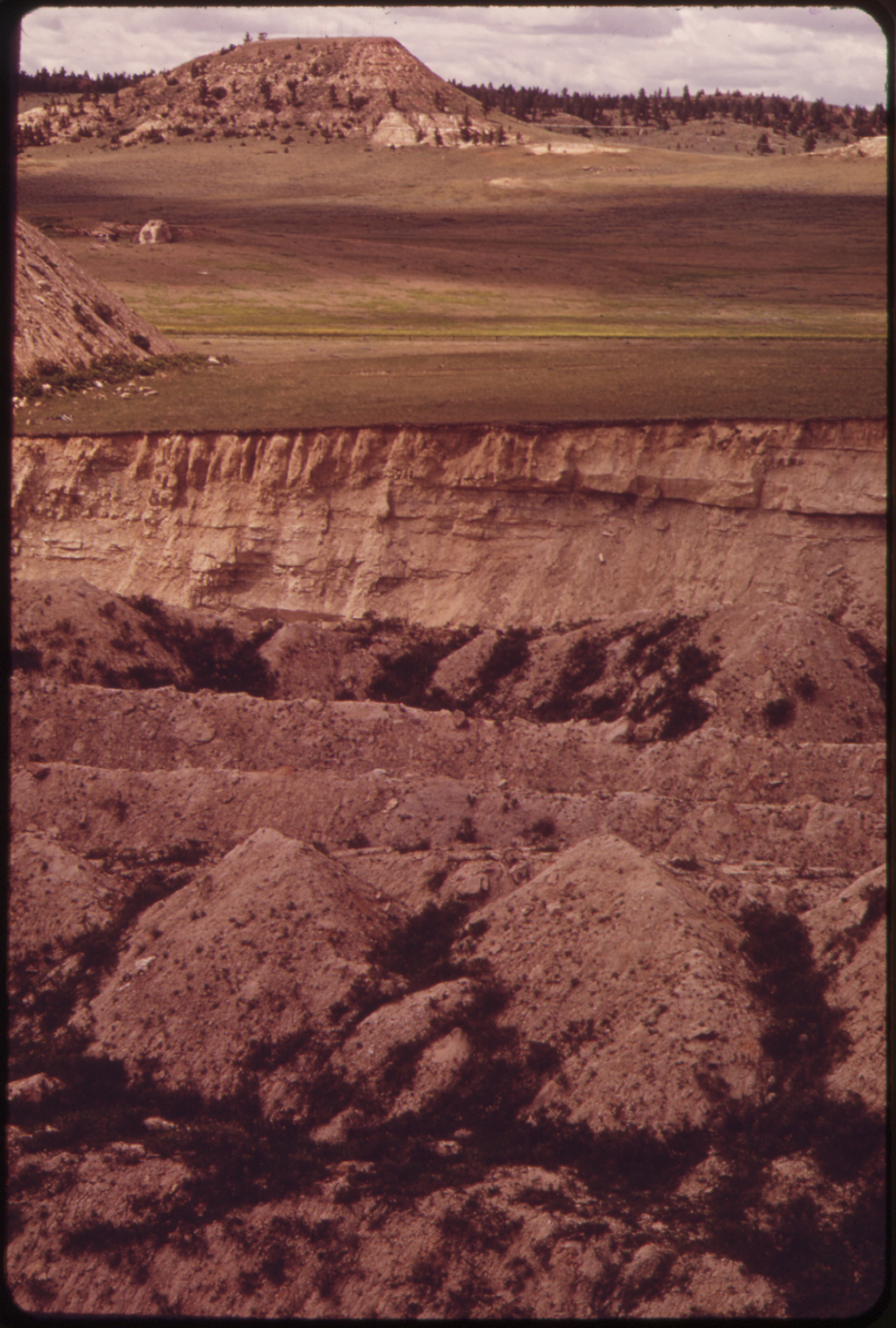 Gr25 Reforesting Former Strip Mines In 1993