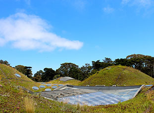 Impressive Green Roofs Around The World American Forests
