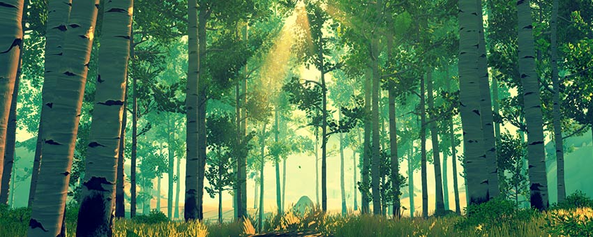 Firewatch A Walk Through A Video Game Forest American Forests
