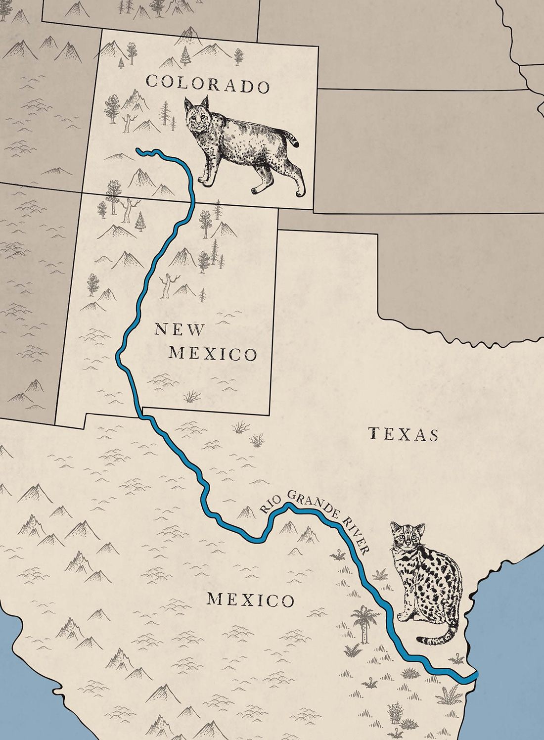 rio grande river map Two Threatened Cats 2 000 Miles Apart With One Need A Healthy
